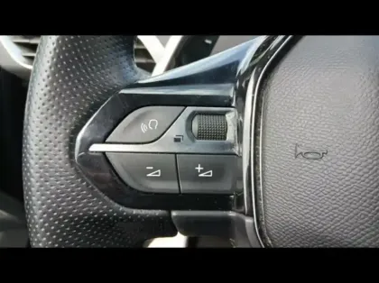 Photo 27 Peugeot 3008  1.5 BlueHDi 130ch S&S GT EAT8