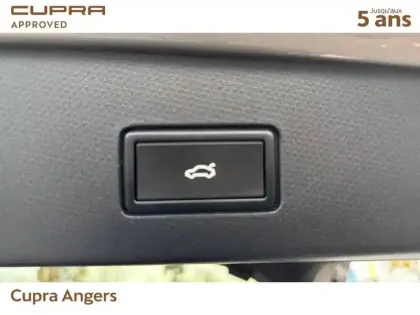 Photo 36 Cupra Tavascan  286 ch