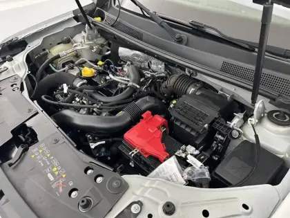 Photo 35 Dacia Duster  ECO-G 100 4x2