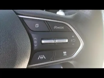 Photo 29 Hyundai Santa Gén. IV Ph2 Executive 5