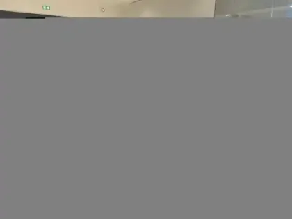 Photo 14 Lexus UX  300h Le 2WD Toit Ouvrant