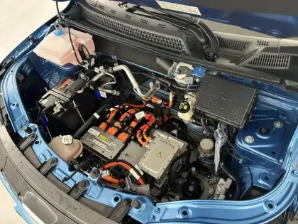 Photo 30 Dacia Spring  Achat Intégral