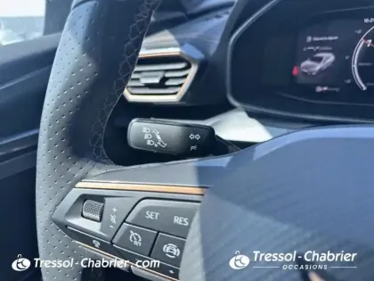 Photo 25 Cupra Formentor  2.0 TDI 150 ch Business Edition