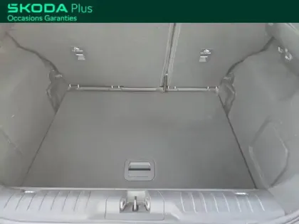 Photo 21 Ford Puma 1.0 EcoBoost 125 ch mHEV S&S Powershift ST-Line