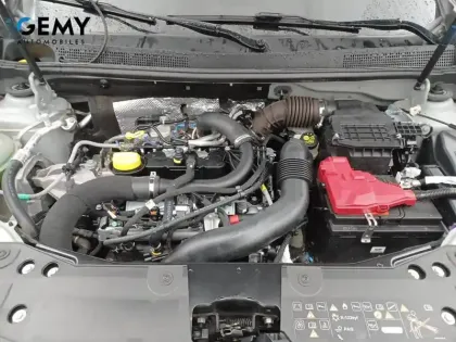 Photo 41 Dacia Duster  ECO-G 100 4x2