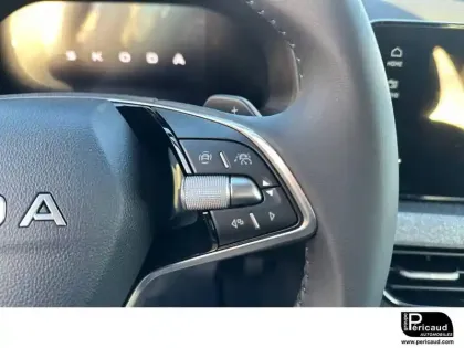 Photo 24 Skoda Kamiq  1.0 TSI Evo 2 116 ch DSG7