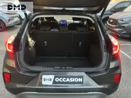 Photo 11 Ford Puma  1.0 EcoBoost 125ch S&S mHEV Titanium Business Powershift