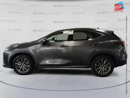 Photo 8 Lexus Nx  350h Pack Business 2WD MY24