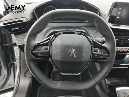 Photo 82 Peugeot 2008  BlueHDi 110 S&S BVM6