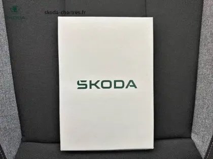 Photo 28 Skoda Kamiq  1.0 TSI Evo 2 116 ch BVM6