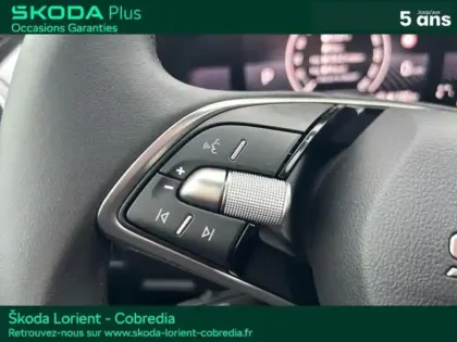 Photo 14 Skoda Fabia  1.0 TSI Evo2 116ch Clever Edition DSG7