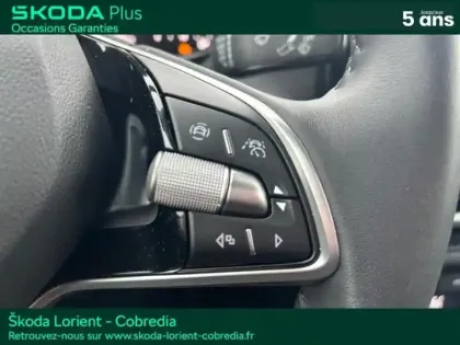 Photo 13 Skoda Fabia  1.0 TSI Evo2 116ch Clever Edition DSG7