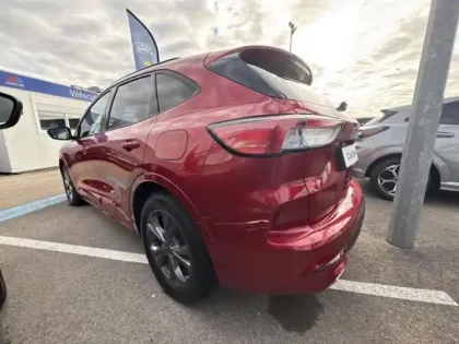 Photo 6 Ford Kuga  2.0 EcoBlue 120 ch ST-Line X BVA