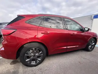 Photo 3 Ford Kuga  2.0 EcoBlue 120 ch ST-Line X BVA