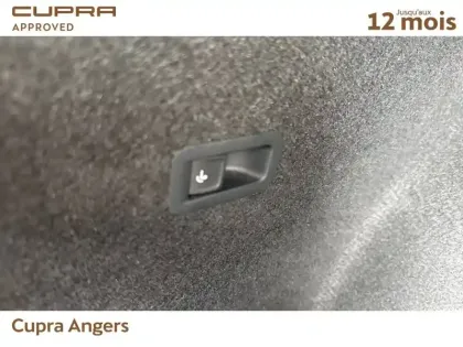 Photo 16 Cupra Formentor  2.0 TSI 310 ch DSG7 4Drive