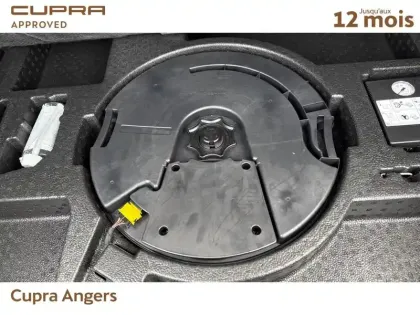 Photo 21 Cupra Formentor  2.0 TSI 310 ch DSG7 4Drive