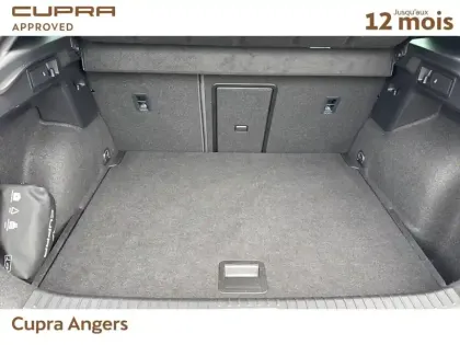 Photo 6 Cupra Formentor  2.0 TSI 310 ch DSG7 4Drive