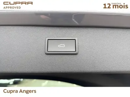 Photo 18 Cupra Formentor  2.0 TSI 310 ch DSG7 4Drive