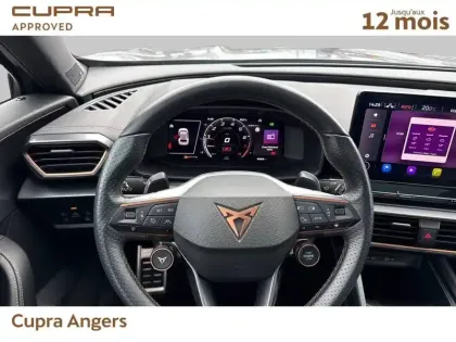 Photo 15 Cupra Formentor  2.0 TSI 310 ch DSG7 4Drive