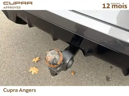 Photo 17 Cupra Formentor  2.0 TSI 310 ch DSG7 4Drive