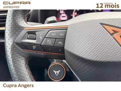 Photo 22 Cupra Formentor  2.0 TSI 310 ch DSG7 4Drive