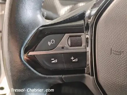 Photo 15 Peugeot 2008  BlueHDi 100 S&S BVM6 Active