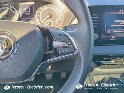 Photo 18 Skoda Fabia  1.0 MPI 80 ch BVM5 Selection