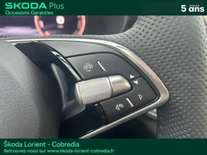 Photo 14 Skoda Fabia  1.0 TSI Evo2 95ch Monte Carlo