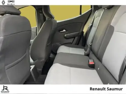 Photo 3 Dacia Sandero  1.0 ECO-G 100ch Stepway Extreme -24