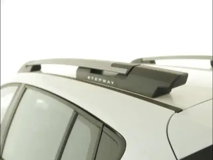 Photo 12 Dacia Sandero  1.0 ECO-G 100ch Stepway Essential