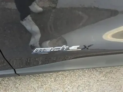 Photo 5 Ford Mustang mach-E  294ch Extended Range 99kWh 7cv