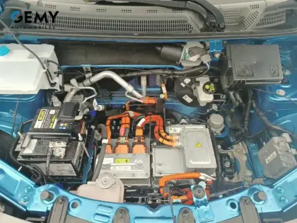 Photo 35 Dacia Spring  Achat Intégral