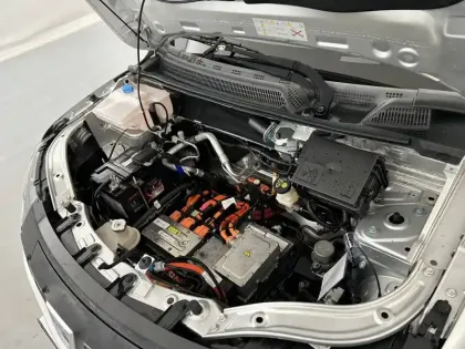 Photo 30 Dacia Spring  Achat Intégral