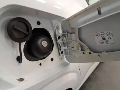 Photo 20 Dacia Sandero  ECO-G 100