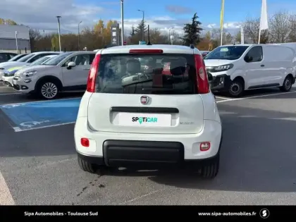 Photo 4 Fiat Panda  1.0 70 ch Hybride BSG S/S