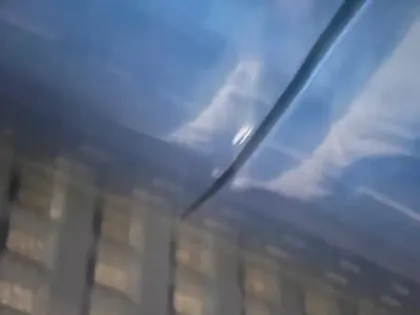 Photo 4 Ford Ranger  2.0 TDCi 213ch Double Cabine Raptor BVA10