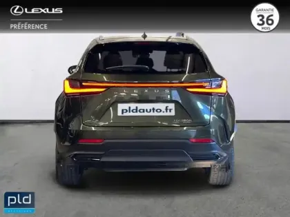 Photo 6 Lexus Nx  350h Executive 4WD