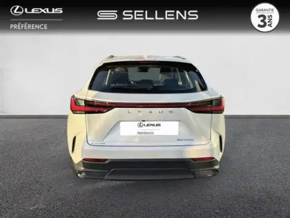 Photo 3 Lexus Nx  350h Pack Business 2WD MY25