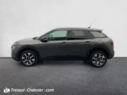 Photo 4 Citroën C4 Cactus  PureTech 110 S&S EAT6 Shine