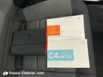 Photo 15 Citroën C4 Cactus  PureTech 110 S&S EAT6 Shine