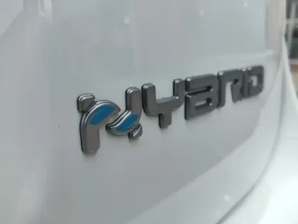 Photo 12 Fiat Panda  1.0 70ch BSG S&S  Cross