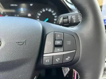 Photo 14 Ford Puma  1.0 Flexifuel 125ch S&S mHEV Titanium Business