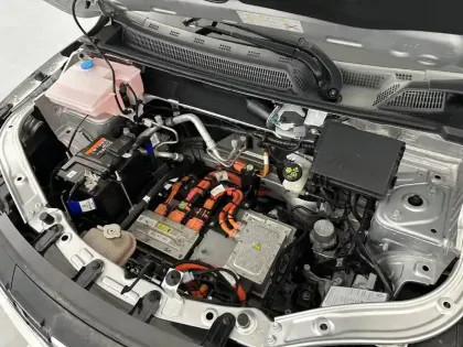 Photo 30 Dacia Spring  Achat Intégral