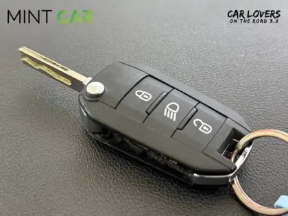 Photo 29 Citroën C3  SOCIETE BLUEHDI 100 S&S BVM6