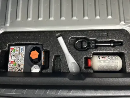 Photo 31 Ford Ecosport  1.0 EcoBoost 125ch S&S BVM6