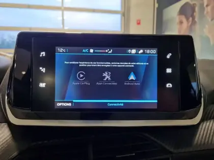 Photo 19 Peugeot 208  BLUEHDI 100 S&S BVM6