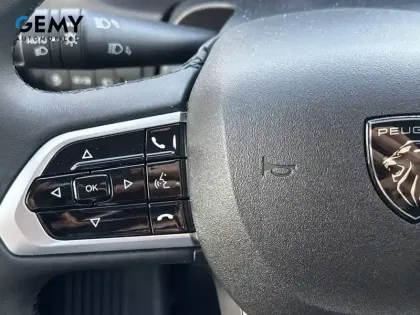 Photo 32 Peugeot Boxer  FGN TOLE 3.5 T L2H2 140 S&S BVA8