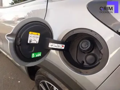 Photo 24 Ford Puma  1.0 Flexifuel 125 ch mHEV S&S BVM6