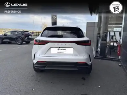 Photo 3 Lexus Nx  450h+ Luxe 4WD