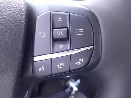 Photo 9 Ford Transit  2T CCb P350 L2 2.0 EcoBlue 130ch Trend BUSINESS BENNE